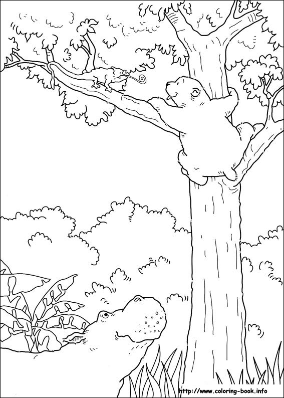 Little Polar Bear coloring picture